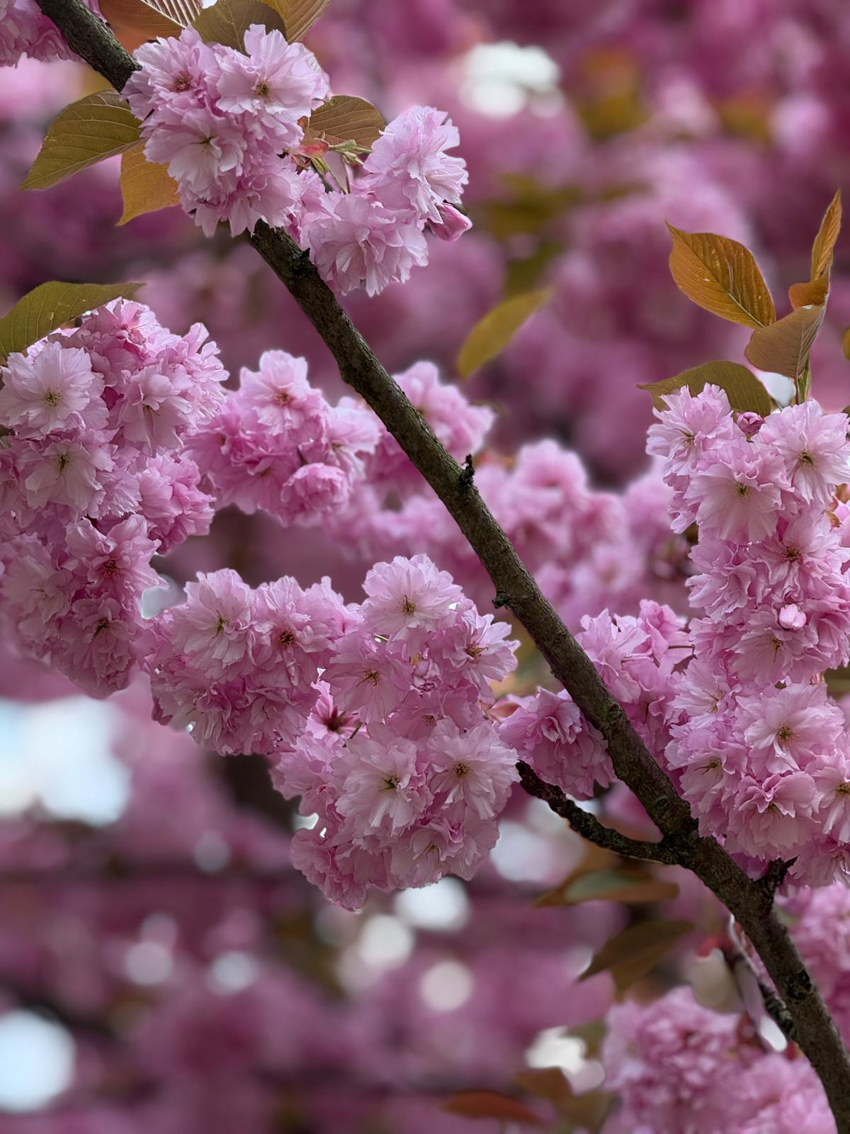 innere Ruhe finden Coaching Düsseldorf